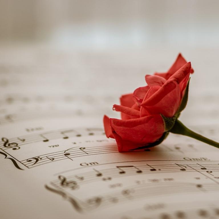 Musiknoten mit einer roten Rose